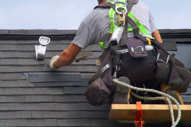 Best Metal Roofing Contractor  in Breckenridge, MI