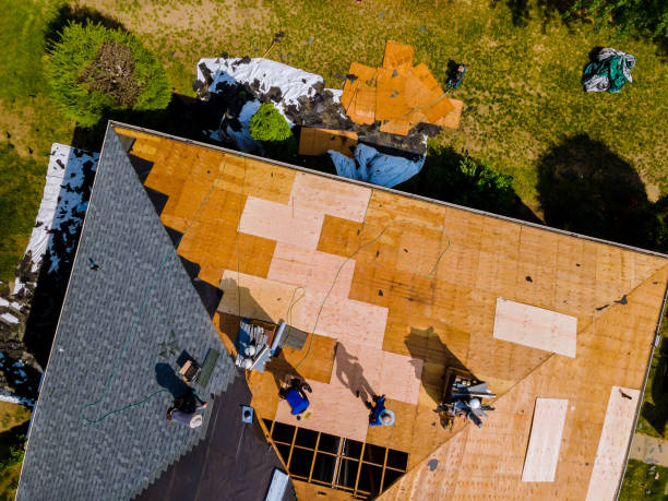Best Sealant for Roof  in Breckenridge, MI