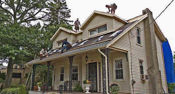 Best Storm Damage Roof Repair  in Breckenridge, MI