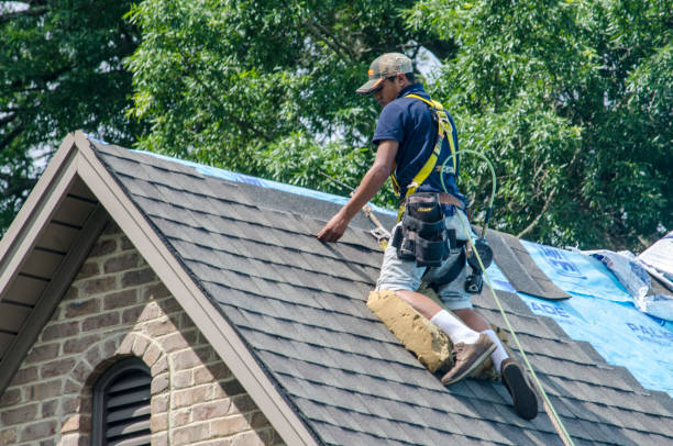Best Slate Roofing Contractor  in Breckenridge, MI